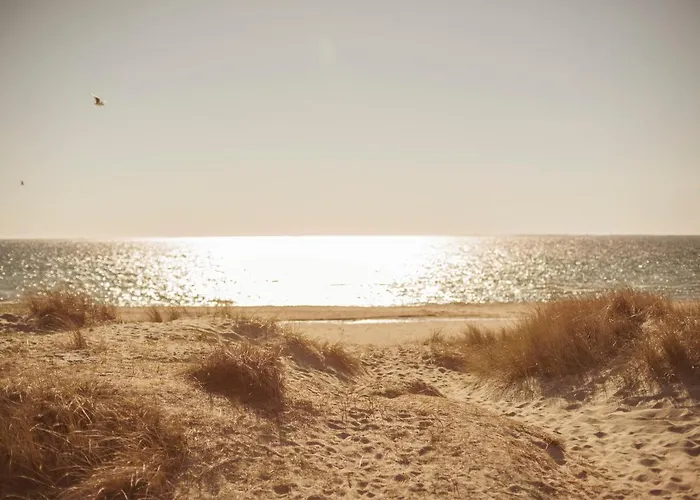 Sola Strand Hotel Hotell 4*