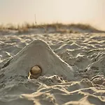 Sola Strand Hotel ソラ